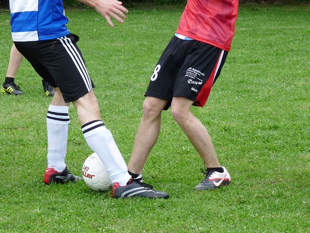 球的忠实粉 球的忠实粉