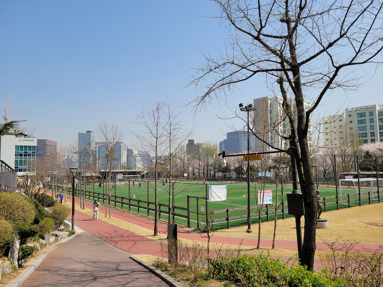 界的地位和 界的地位和