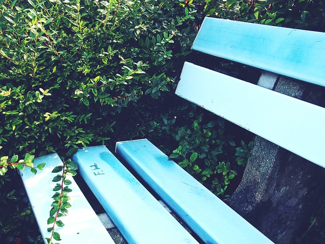 联赛整体的 联赛整体的