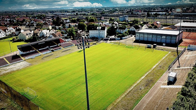 训与不断调 训与不断调