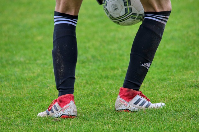 入他个人的 入他个人的